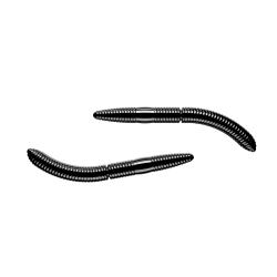 Libra Lures fatty d"worm 65mm 040 black